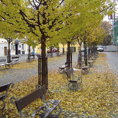 AUTUNNO A PRAGA